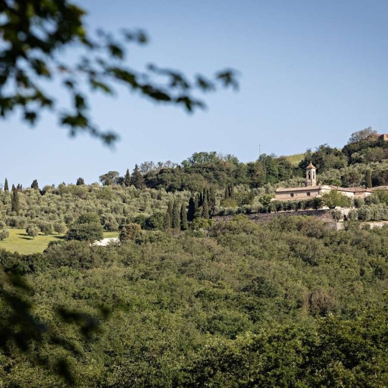 Vue sur la campagne Toscane et les collines du Chianti