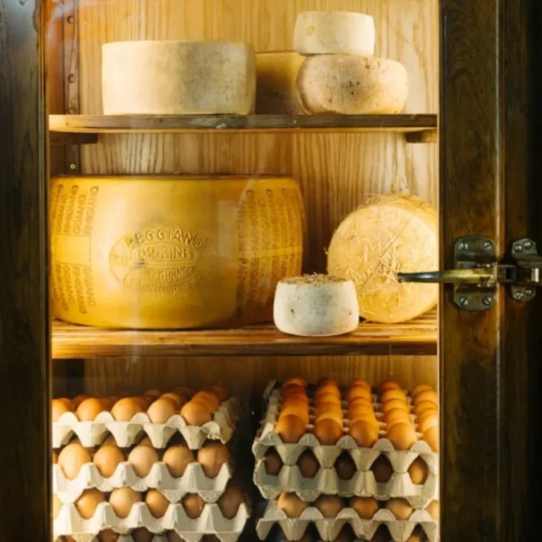 Kühlschrank mit Käse und Ei